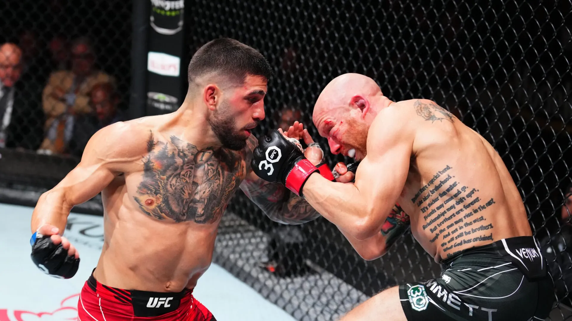 "Dagu Terbaik di UFC" … Petarung yang Bertahan 5 Ronde dengan Ilia Topuria Dipuji Setelah UFC 317