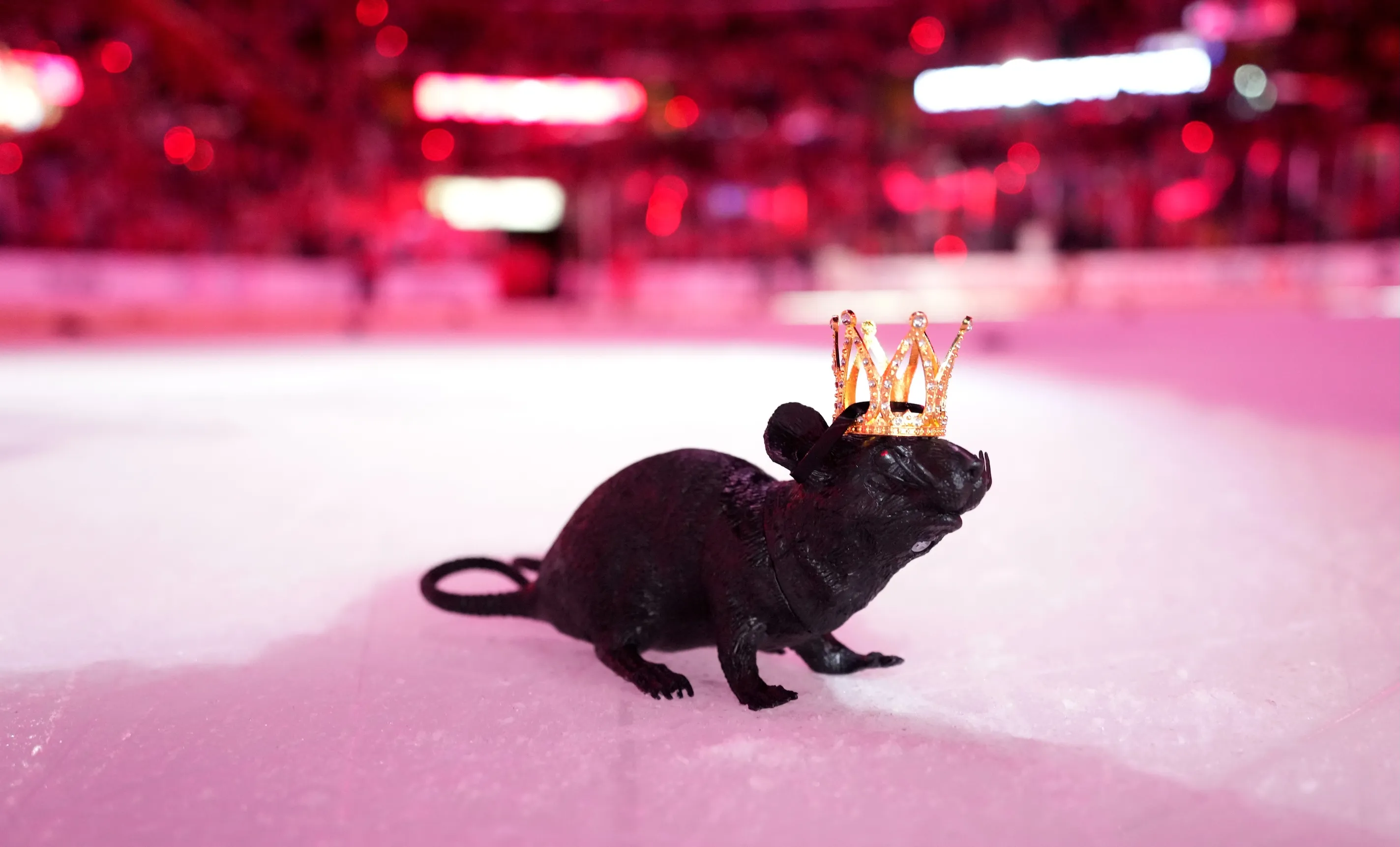 Brad Marchand Tetaplah Pengganggu Ulung
